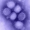 H1N1 Vaccine – Why Is This A Controversy?