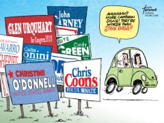 Tornoe’s Toon: Campaign Signs