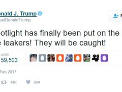 Today’s news from inside the Alt-Right media bubble & Trump Purge Promise Today’s news from inside the Alt-Right media bubble & Trump Purge Promise