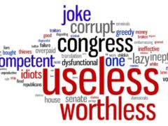 For some reason Democrats continue to outsource oversight For some reason Democrats continue to outsource oversight