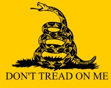 The Trouble With Libertarians