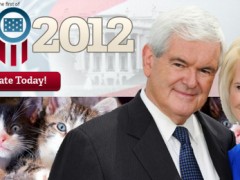 Newt’s Web Site is Crazy