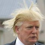 ‘Trumpanswering’  Questions – an experiment