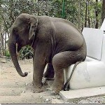 What does 3rd party status actual mean for the DEGOP?