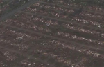 24 Dead in Oklahoma Monster Tornado