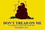 Teabaggers, Keep Your Shitty Hands Off My VA
