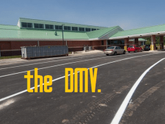In Praise of DMV And the People Who Work There