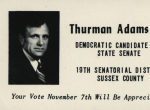 Adams for Congress?