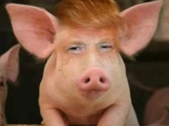 Donald Trump: The Misogynist Pig