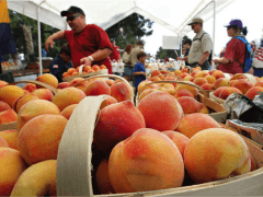 A couple of last thoughts about the Peach Festival
