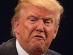 Trump’s 100 Day Plan Translated