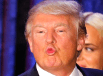 “Any negative polls are fake news”