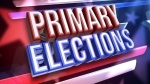 Look down ballot to help clean up the Democratic Party: Carter, Pusey, Durham poised to make an impact