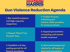 Kerri Harris’ Common Sense Gun Violence Reduction Agenda