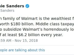 Feel the Bern