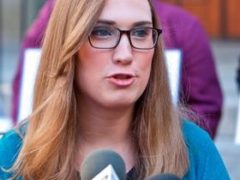Can we anticipate a “Sarah McBride Effect” in 2020?