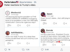 Deep Fake, Tranny, Cuck, Pedo, Chess Master