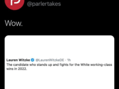 This is your post-Trump openly racist DEGOP