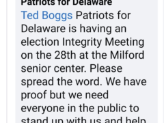 DE “Patriots” for Favor of Fucking Shit Up – In this case elections