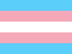 Flag of the Day # – Transgender Pride Flag