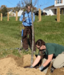 Reforest Delaware