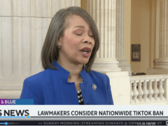 Delaware Democratic Congresswoman Lisa Blunt Rochester would like you to know that she is kinda in favor of banning TikTok but kinda not in favor of banning it