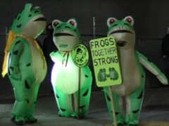 Song of the Day 10/12: Paul McCartney, “We All Stand Together (The Frog Song)”